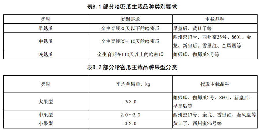 哈密瓜早、中、熟瓜和大中型瓜的分類要求